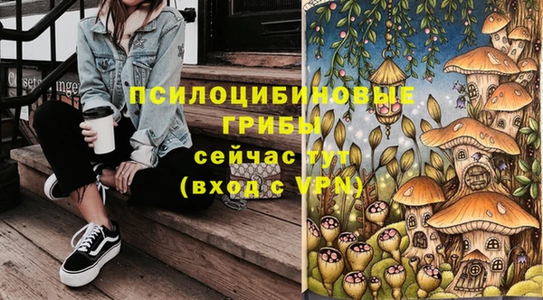 бутират Верея