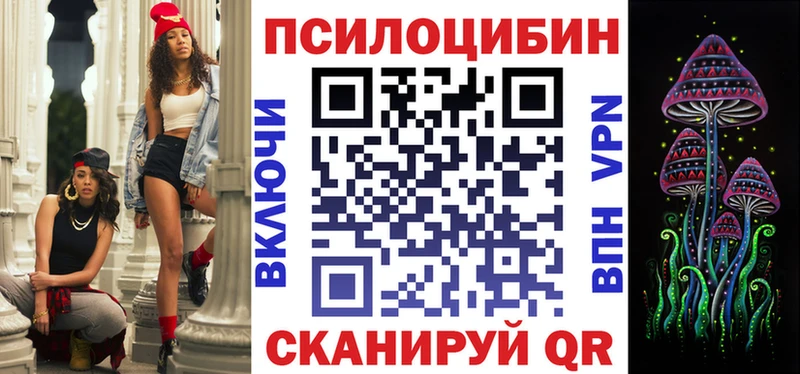 купить наркоту  Наволоки  Псилоцибиновые грибы MAGIC MUSHROOMS 
